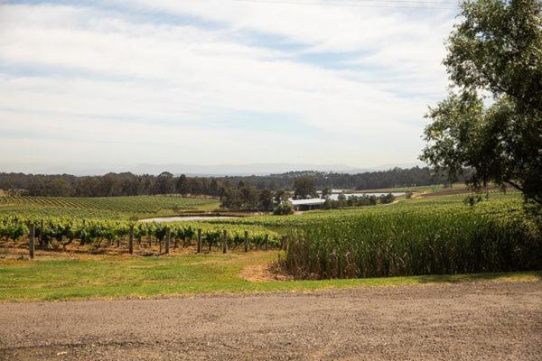 בית הארחה פוקולבין 	Audrey Wilkinson Vineyard מראה חיצוני תמונה